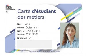 Carte plastique